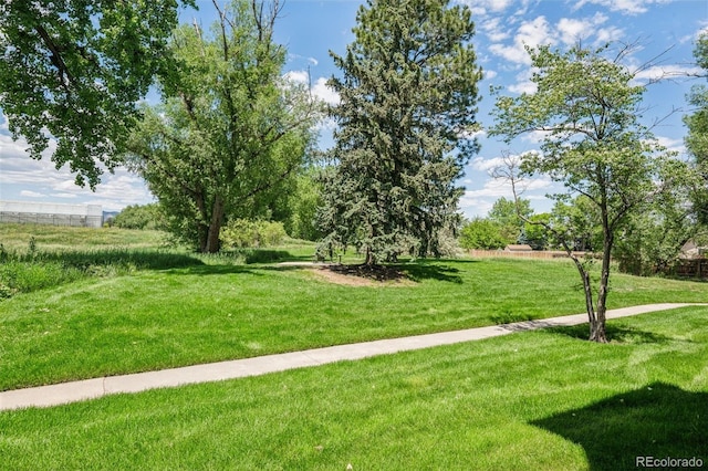 4899 S Dudley St Unit 7E, Littleton, CO 80123 - view of green lawn