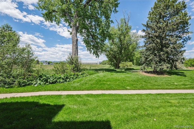 4899 S Dudley St Unit 7E, Littleton, CO 80123 - view of home's community featuring a yard