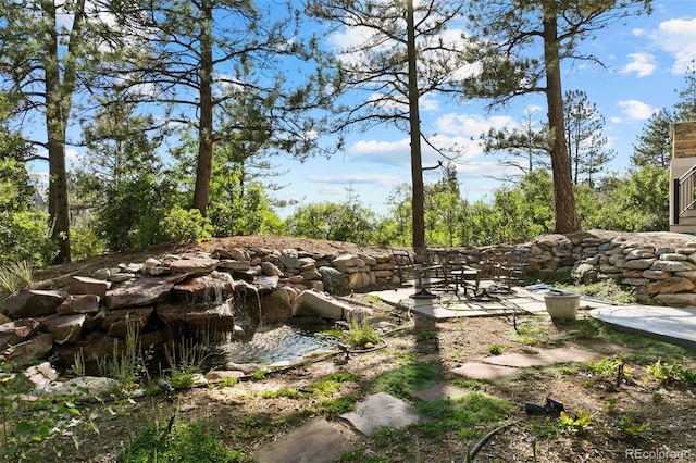 view of local wilderness