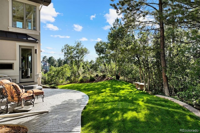 view of yard featuring a patio