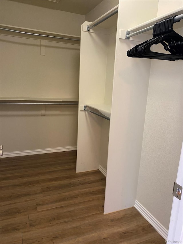 walk in closet with dark hardwood / wood-style floors