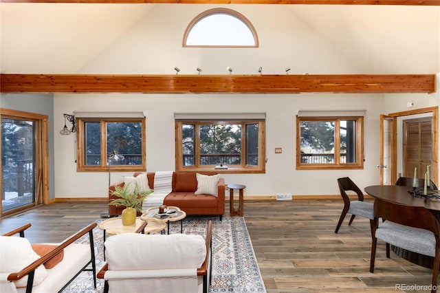 living room with wood-type flooring, high vaulted ceiling, and a wealth of natural light