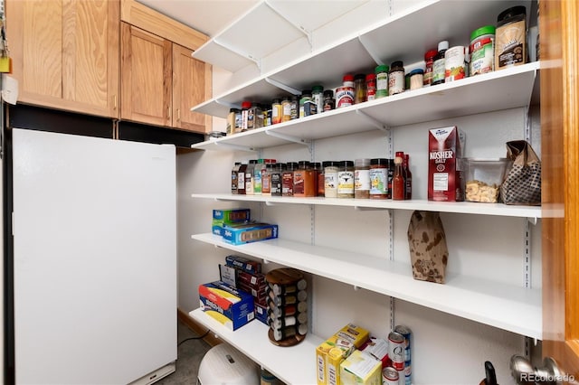 view of pantry