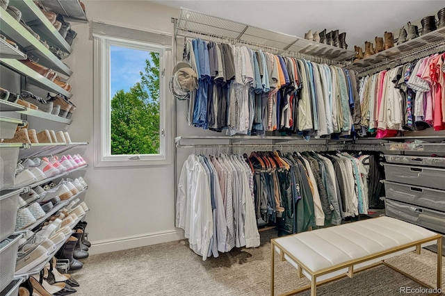 10289 E Berry Dr, Greenwood Village, CO 80111 - spacious closet featuring carpet