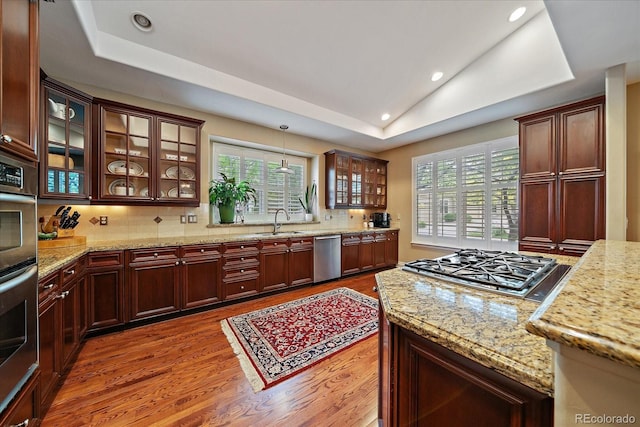 4545 S Monaco St Unit 243, Denver, CO 80237 - kitchen featuring a sink, a tray ceiling, appliances with stainless steel finishes, wood finished floors, and healthy amount of natural light