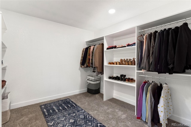 2313 S Raleigh St, Denver, CO 80219 - walk in closet featuring carpet floors