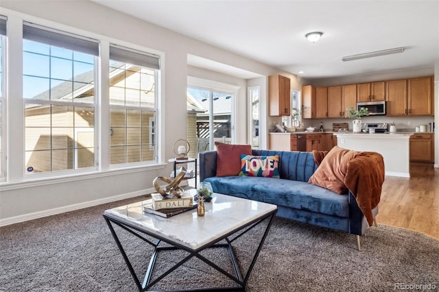 living room featuring hardwood / wood-style flooring