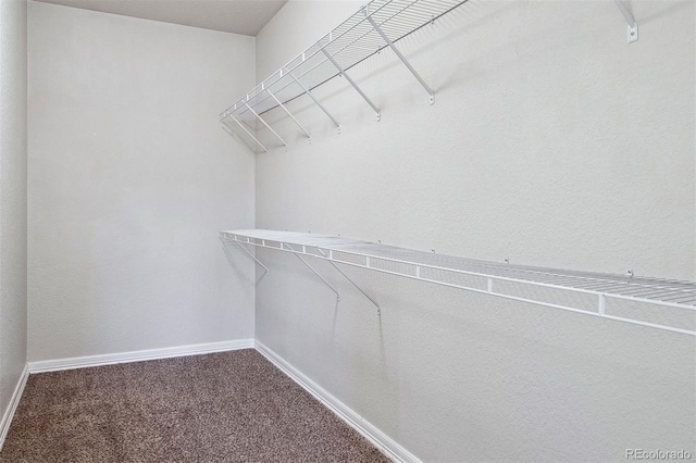 walk in closet with carpet