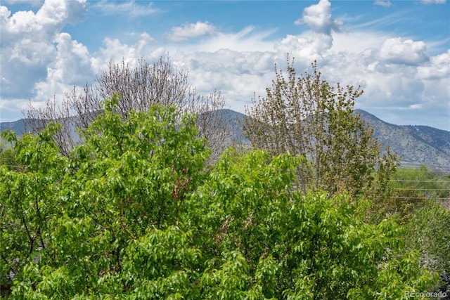 11460 W Tanforan Cir, Littleton, CO 80127 - view of mountain backdrop