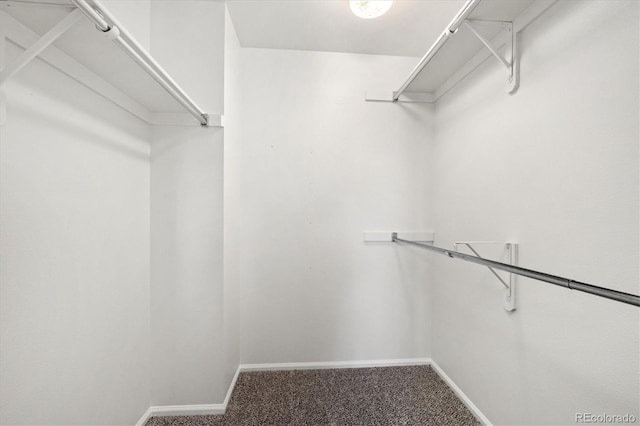 5922 E Briarwood Dr, Centennial, CO 80112 - walk in closet with carpet