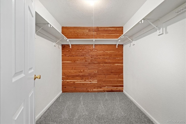 5922 E Briarwood Dr, Centennial, CO 80112 - spacious closet featuring carpet