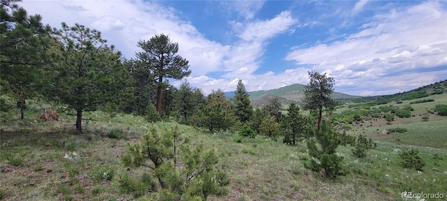 Listing photo 2 for Rimrock Ln, Canon City CO 81212