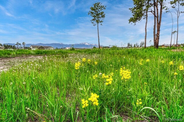 6425 Vessey Rd, Colorado Springs, CO 80908 - photo 1