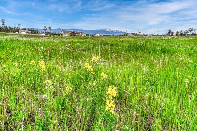 6425 Vessey Rd, Colorado Springs, CO 80908 - photo 5