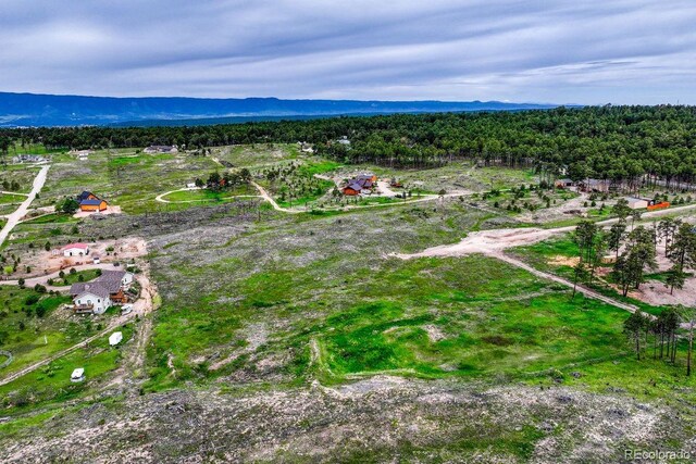 6425 Vessey Rd, Colorado Springs, CO 80908 - photo 7