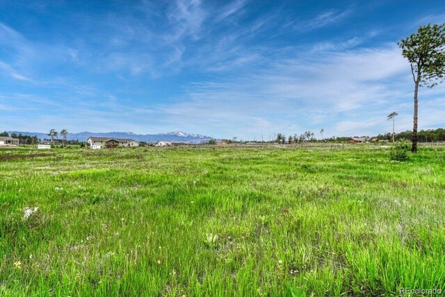 6425 Vessey Rd, Colorado Springs, CO 80908 - photo 16