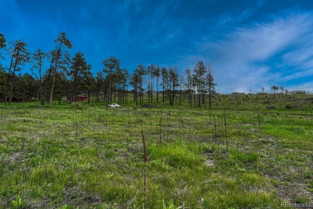 6425 Vessey Rd, Colorado Springs, CO 80908 - photo 20