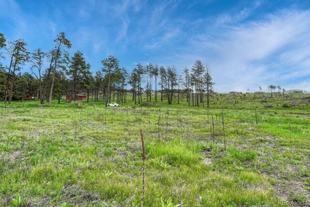 6425 Vessey Rd, Colorado Springs, CO 80908 - photo 21