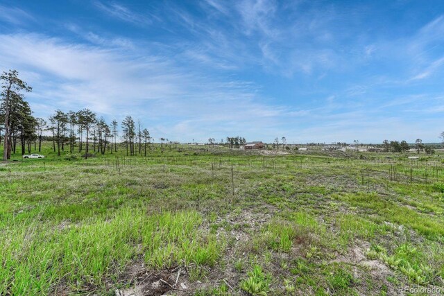 6425 Vessey Rd, Colorado Springs, CO 80908 - photo 23