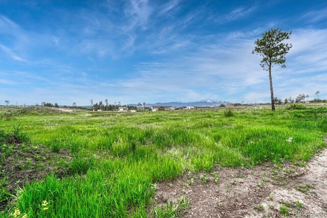 6425 Vessey Rd, Colorado Springs, CO 80908 - photo 29