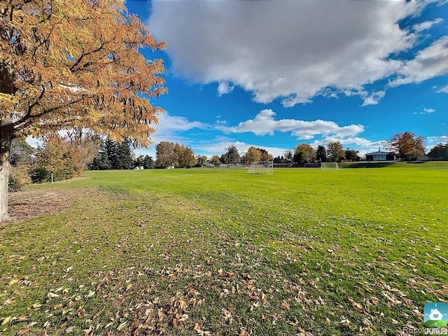 view of yard