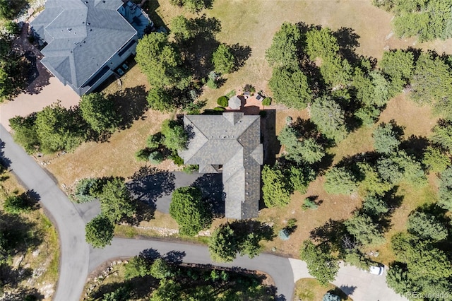 23471 Morning Rose Dr, Golden, CO 80401 - photo 50