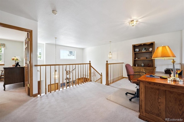 12963 W 84th Pl, Arvada, CO 80005 - office space featuring carpet flooring