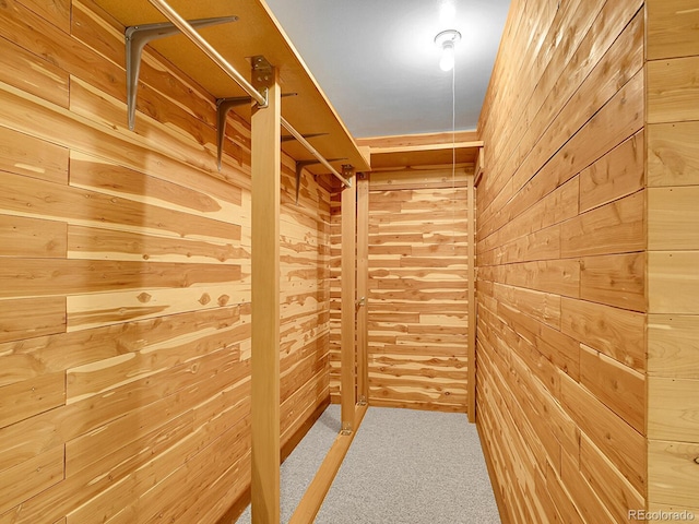 5895 W Plymouth Dr, Littleton, CO 80128 - spacious closet featuring carpet floors