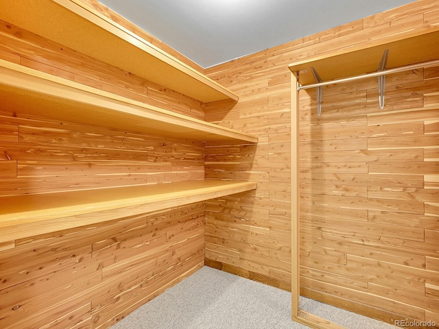 5895 W Plymouth Dr, Littleton, CO 80128 - spacious closet with carpet flooring