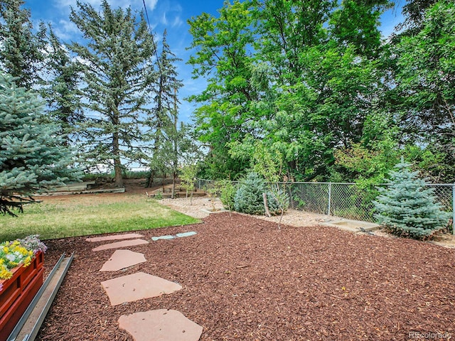 5895 W Plymouth Dr, Littleton, CO 80128 - view of yard