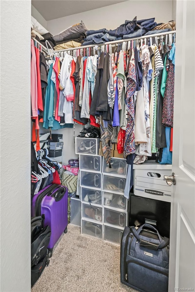 2225 Santini Trl Unit C, Littleton, CO 80129 - photo 29
