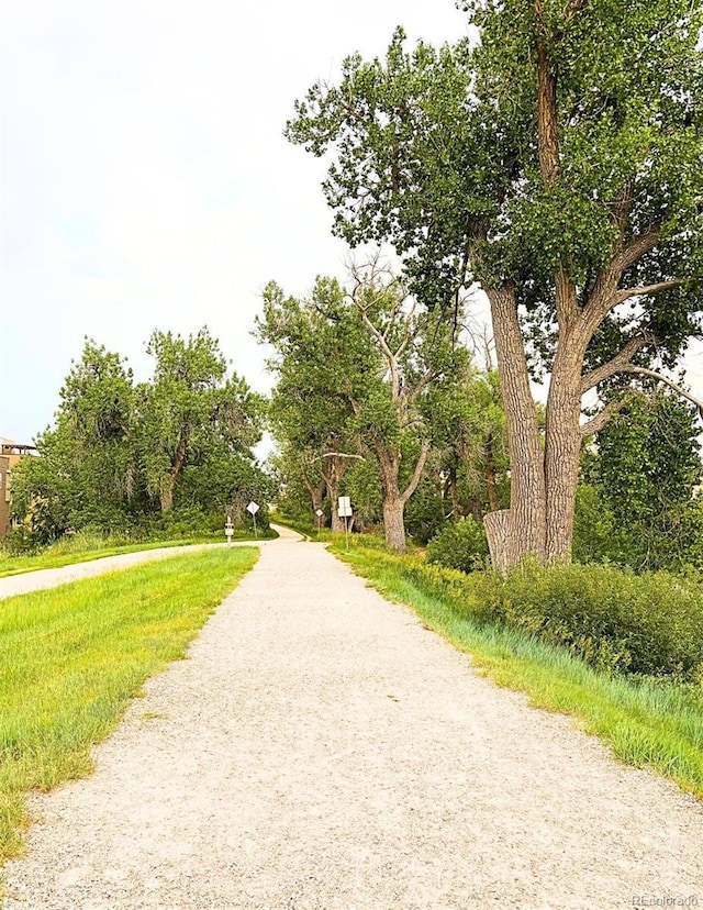 2225 Santini Trl Unit C, Littleton, CO 80129 - photo 36