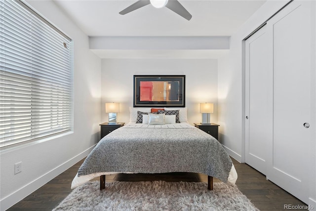 bedroom with multiple windows, dark hardwood / wood-style flooring, a closet, and ceiling fan