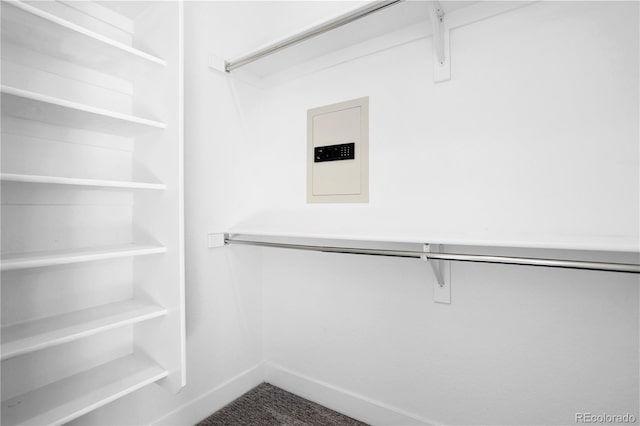 spacious closet featuring carpet flooring