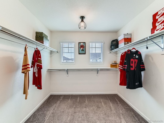 11657 Olathe St, Commerce City, CO 80022 - photo 20