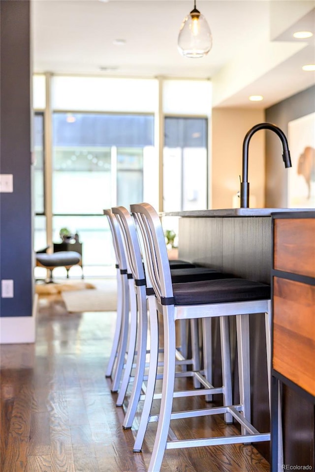 interior space featuring dark hardwood / wood-style floors and sink