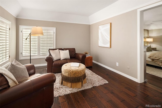 living room with vaulted ceiling and dark hardwood / wood-style floors