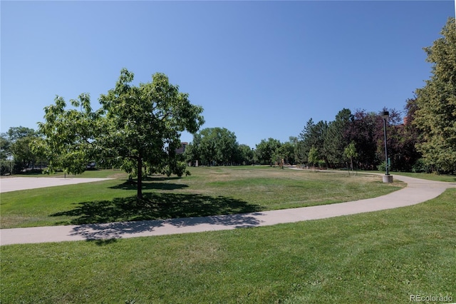 2429 Spruce St Unit 4, Boulder, CO 80302 - view of property's community with a lawn