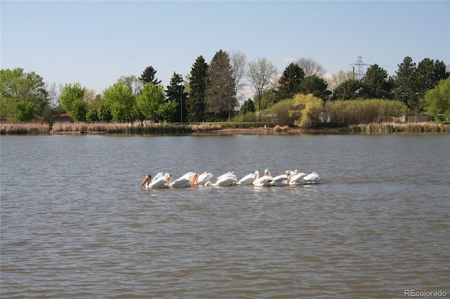 property view of water