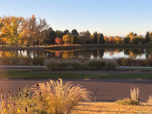view of water feature