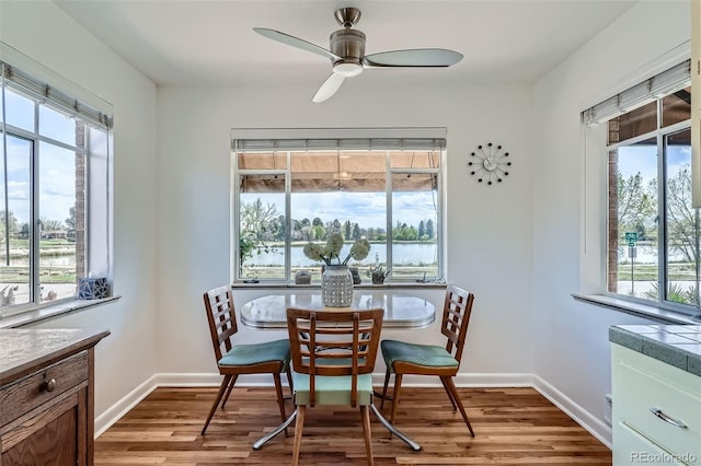 dining space featuring plenty of natural light, a ceiling fan, and wood finished floors