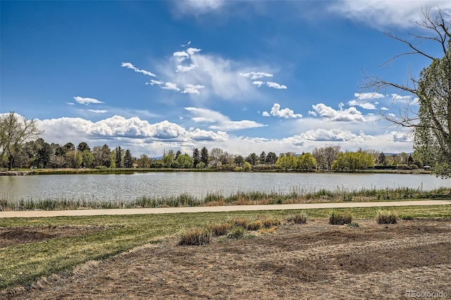 property view of water
