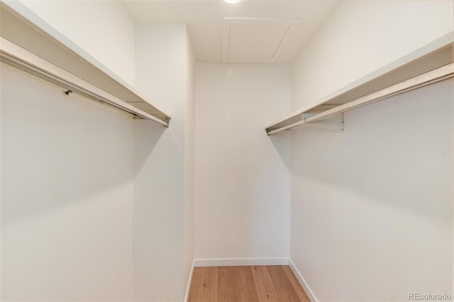 8335 Fairmount Dr Unit 7-208, Denver, CO 80247 - walk in closet featuring light wood finished floors
