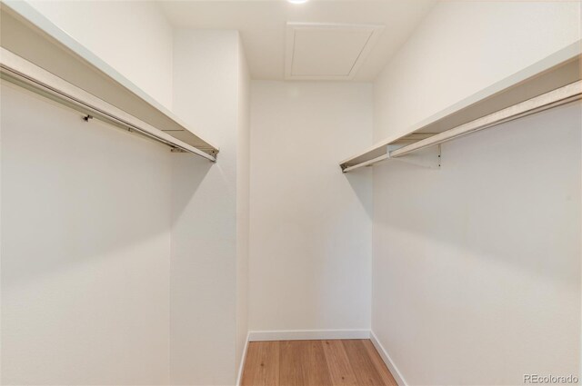 8335 Fairmount Dr Unit 7-208, Denver, CO 80247 - walk in closet with light wood-style floors