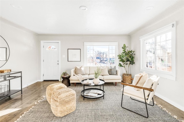 living room featuring hardwood / wood-style floors