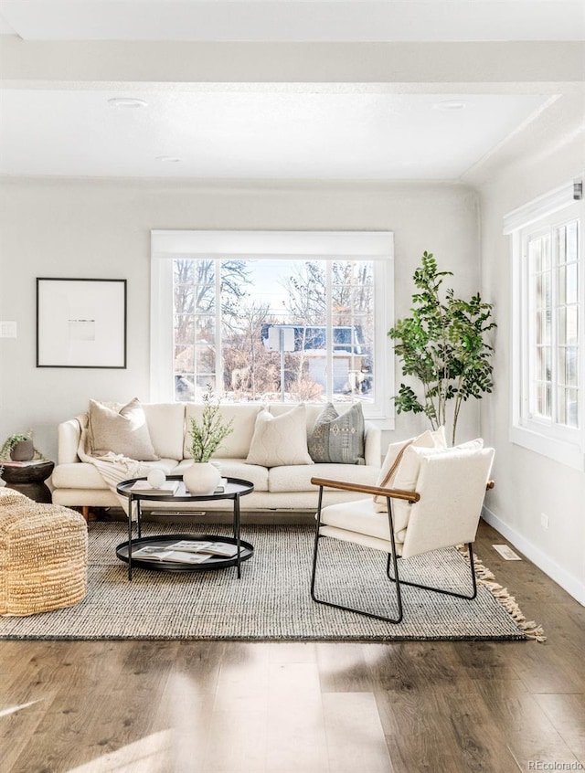 living room featuring dark wood-type flooring and a wealth of natural light