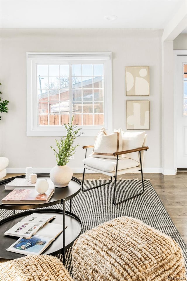 living area with wood-type flooring