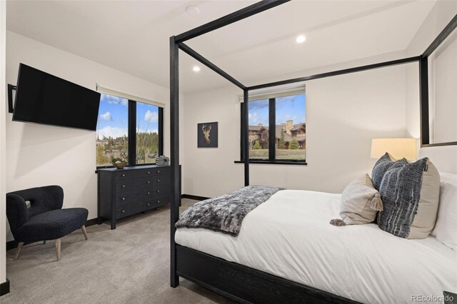 2800 Honors Ct, Silverthorne, CO 80498 - bedroom with light carpet, baseboards, and recessed lighting
