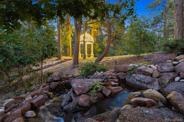 337 Tamasoa Pl, Castle Rock, CO 80108 - photo 39