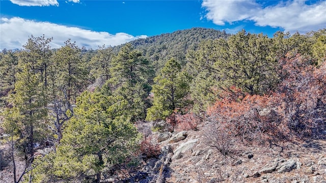 000 K Path, Cotopaxi CO, 81223 land for sale